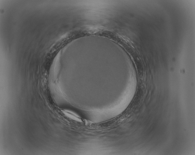 X0000062621349200601181644