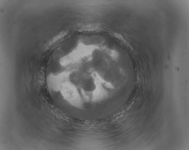 X0000062621350200601181644