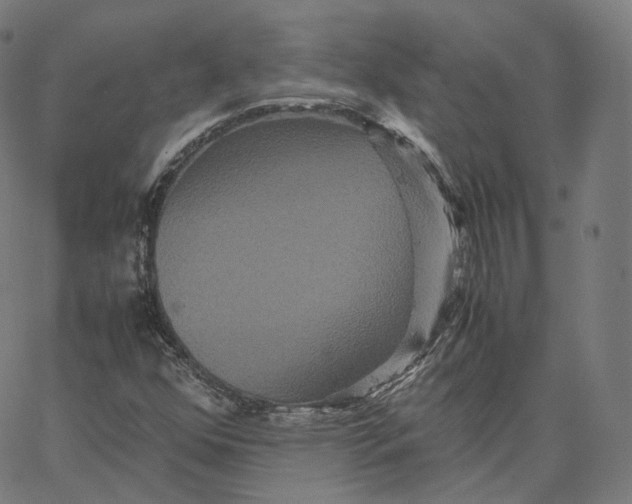 X0000062621352200601181644