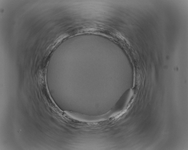 X0000062621353200601181644