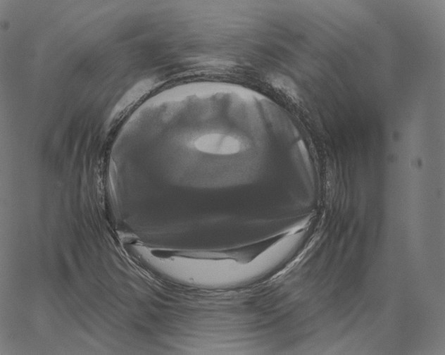 X0000062621354200601181644