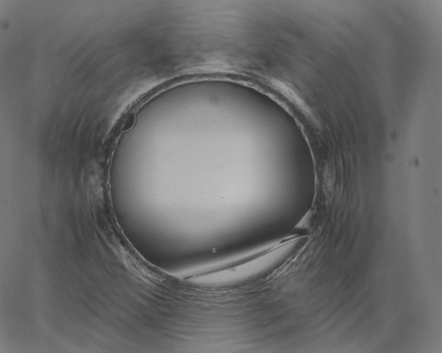 X0000062621356200601181644