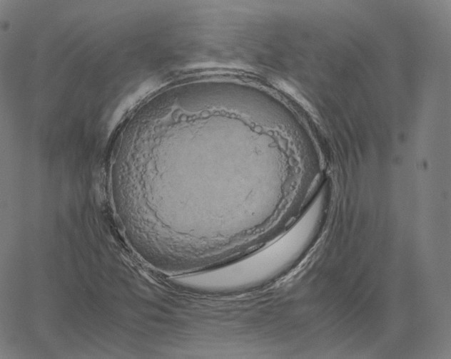 X0000062621357200601181644