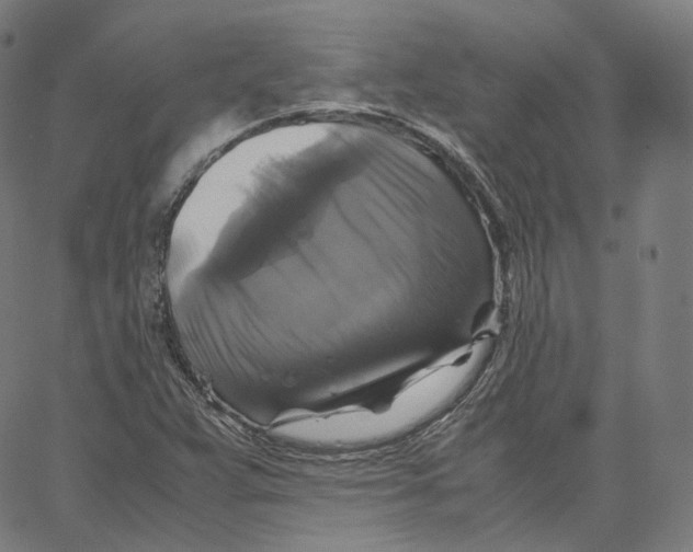 X0000062621359200601181644