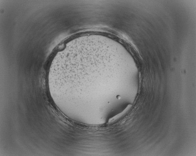 X0000062621360200601181644