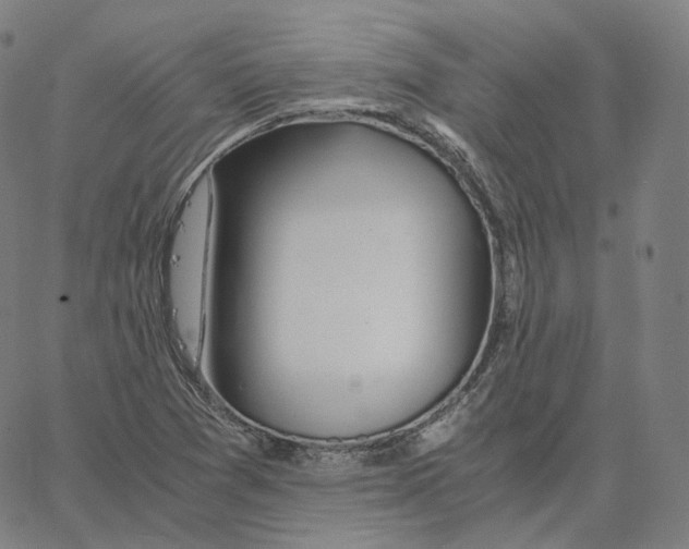 X0000062621361200601181644