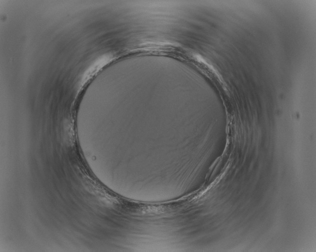 X0000062621362200601181644