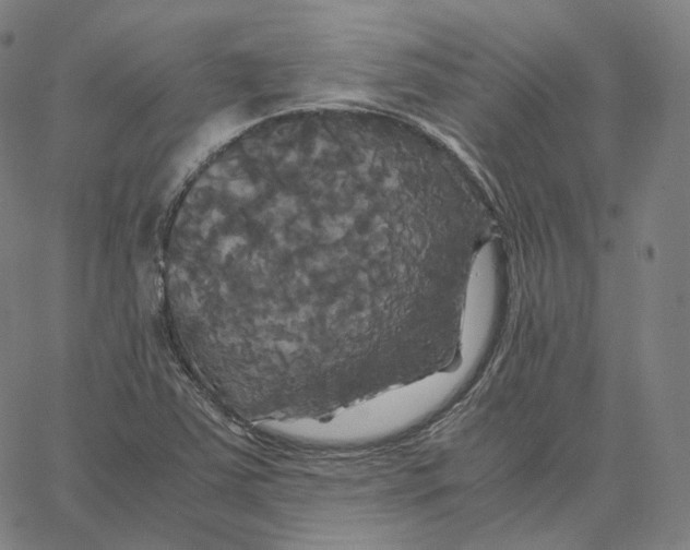 X0000062621363200601181644