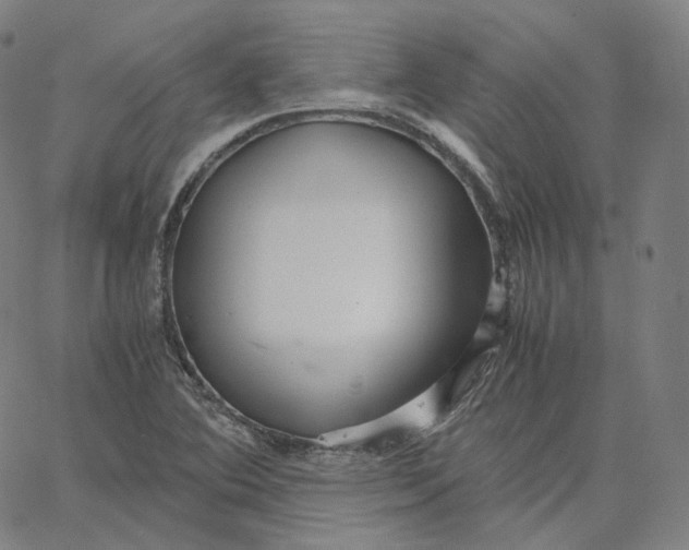 X0000062621364200601181644