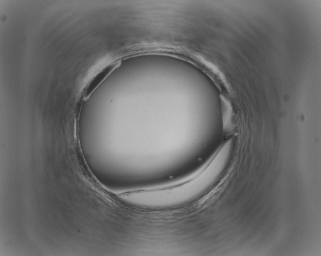 X0000062621365200601181644