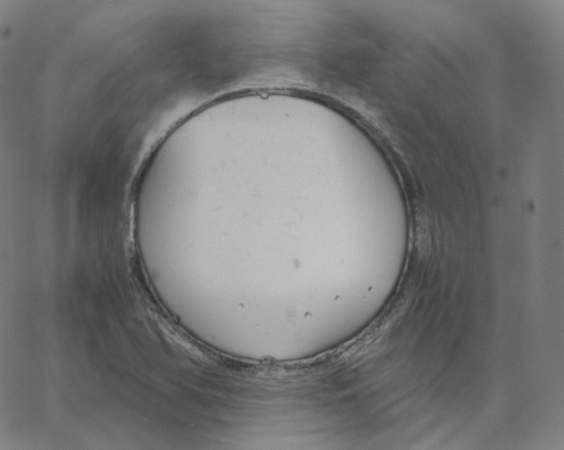 X0000062621366200601181644