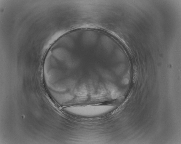 X0000062621367200601181644