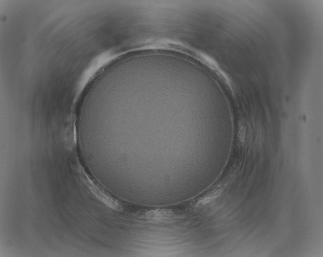 X0000062621368200601181644