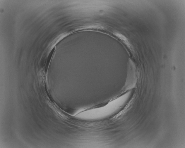 X0000062621369200601181644