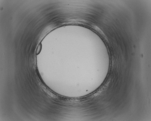 X0000062621370200601181644