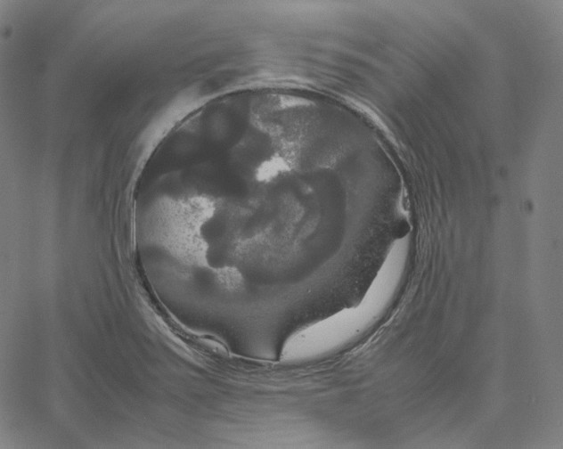 X0000062621371200601181644