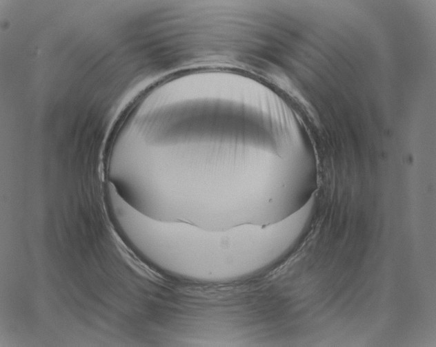 X0000062621372200601181644