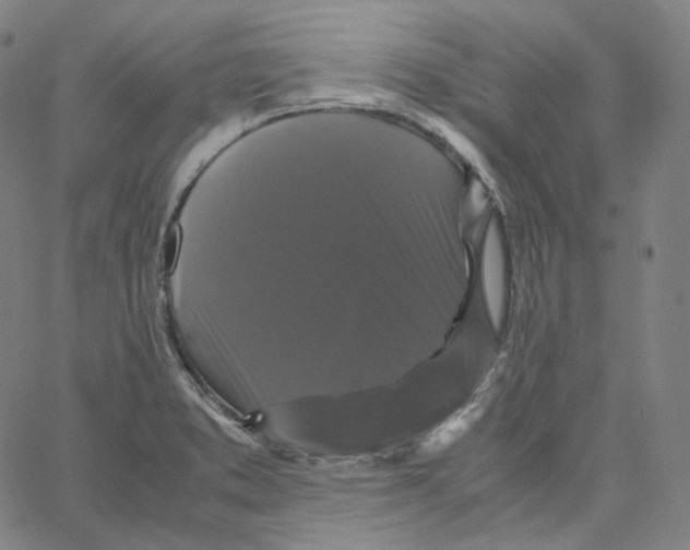 X0000062621373200601181644