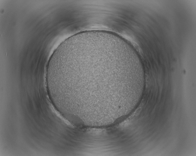 X0000062621374200601181644