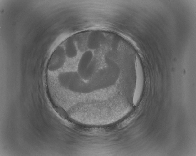 X0000062621375200601181644