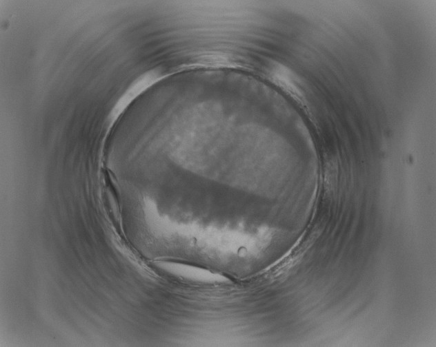 X0000062621378200601181644