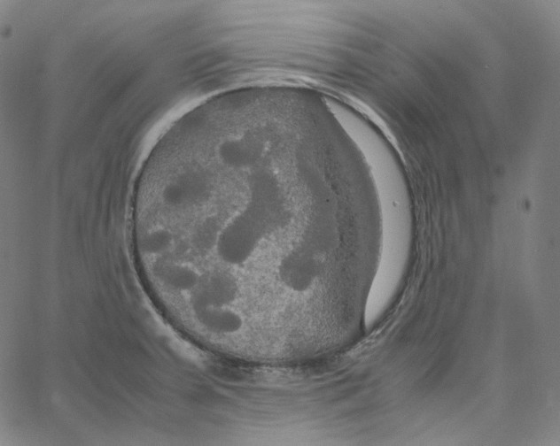 X0000062621379200601181644