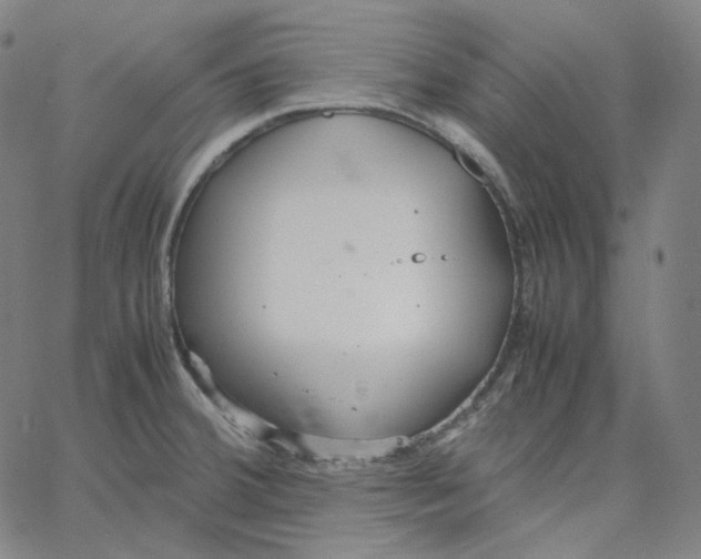 X0000062621380200601181644