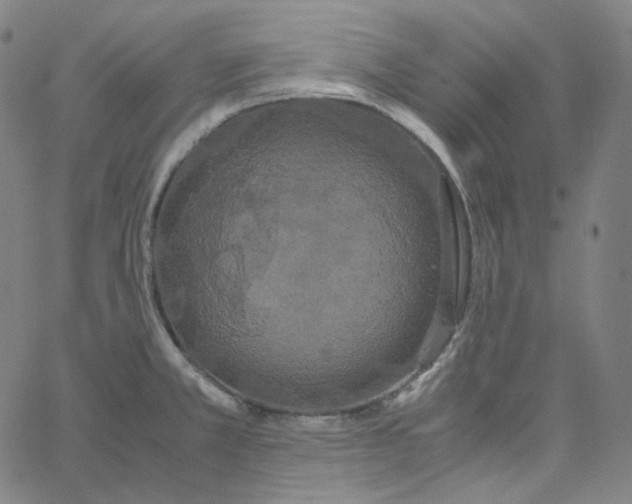 X0000062621381200601181644