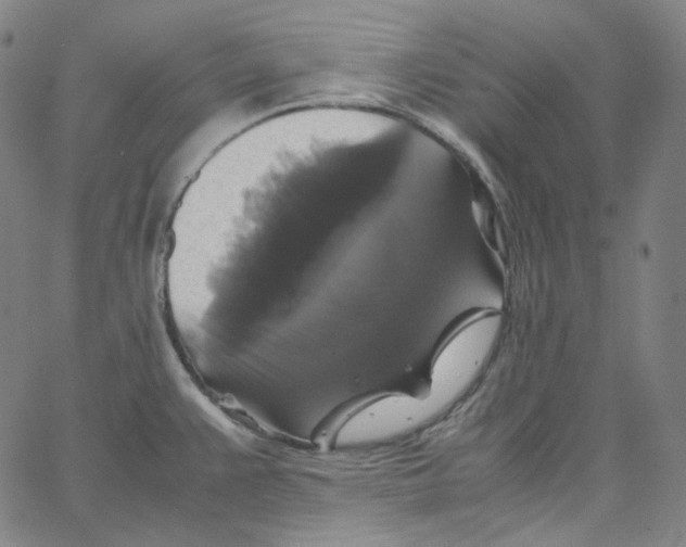 X0000062621383200601181644