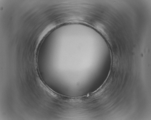 X0000062621384200601181644