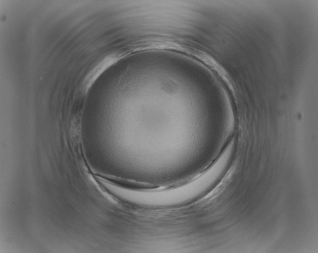 X0000062621385200601181644