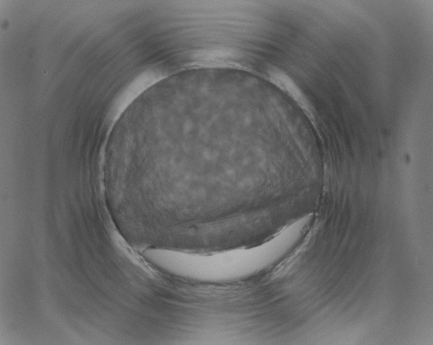 X0000062621386200601181644