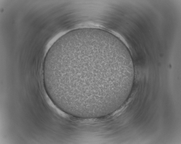 X0000062621387200601181643