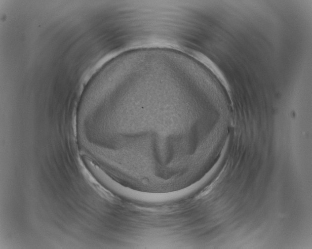 X0000062621388200601181643