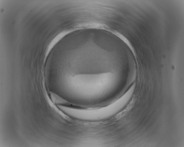 X0000062621389200601181643