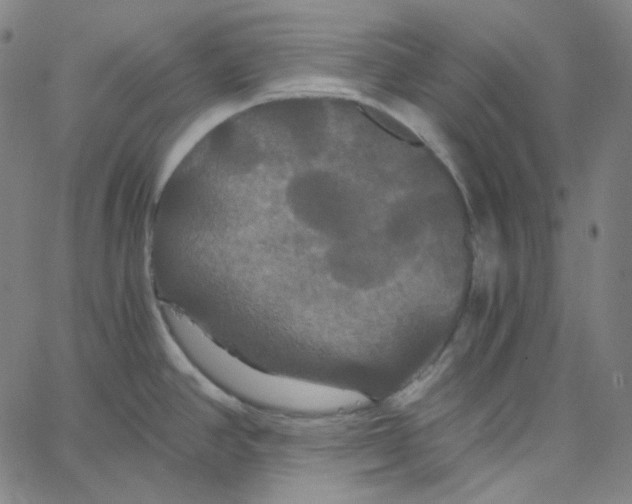 X0000062621390200601181643