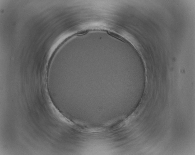 X0000062621392200601181643