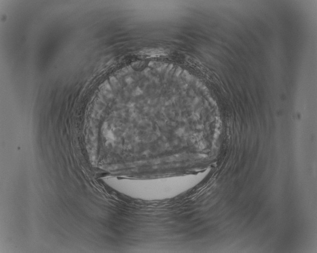 X0000062621393200601181643