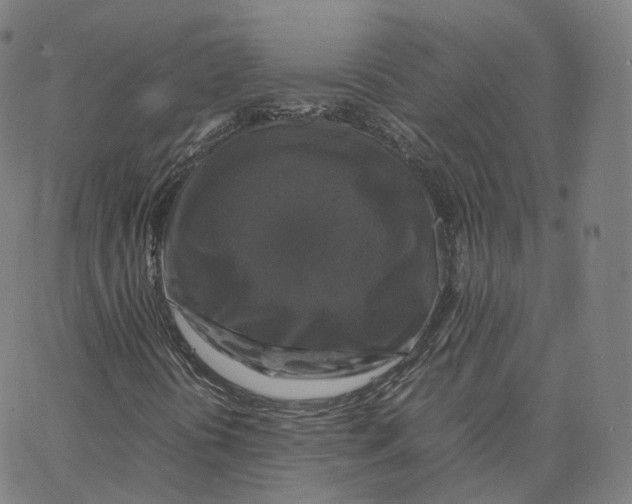 X0000062621394200601181643