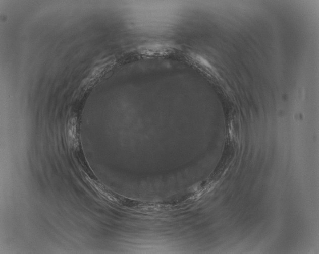 X0000062621396200601181643