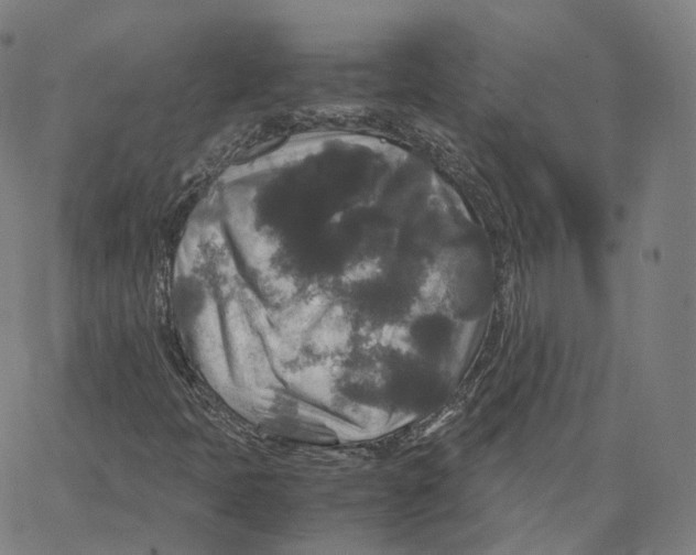 X0000062621397200601181643