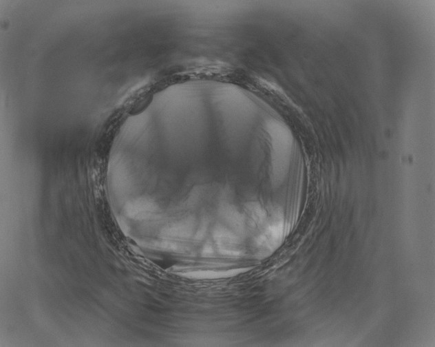 X0000062621399200601181643