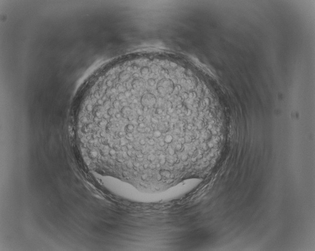 X0000062621400200601181643