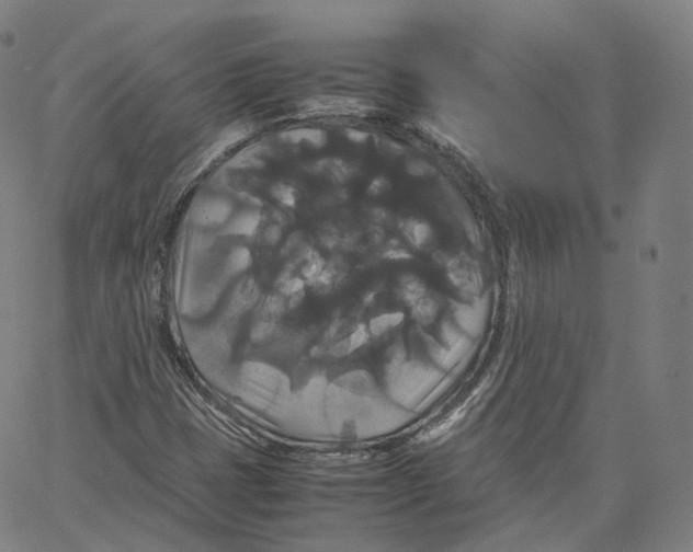 X0000062621401200601181643