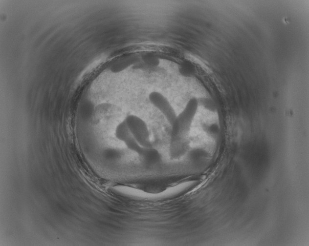 X0000062621403200601181643