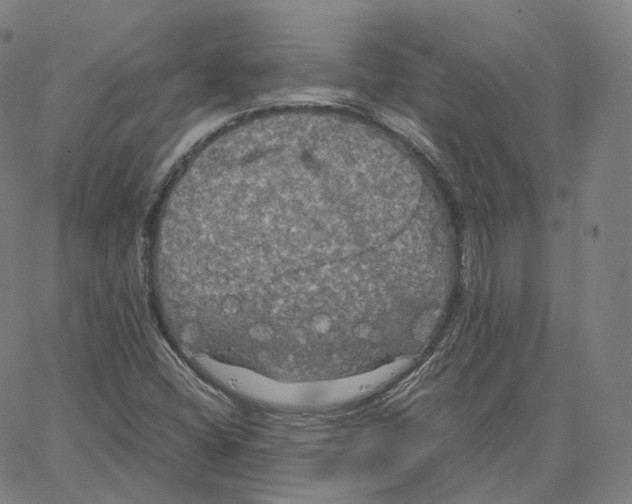 X0000062621404200601181643