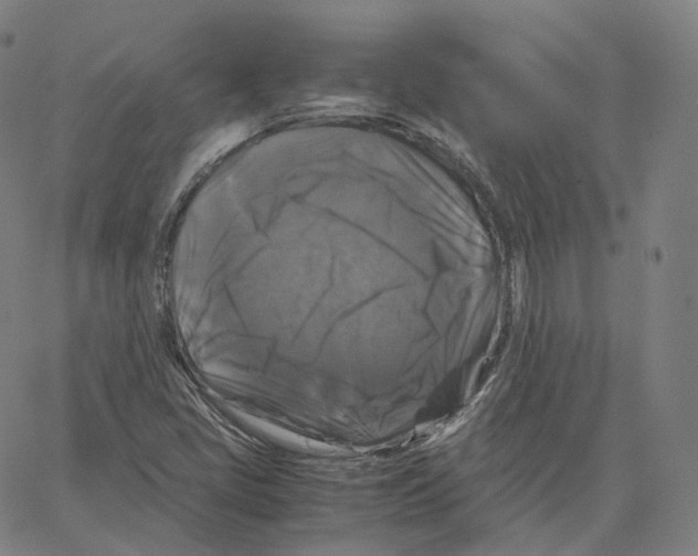 X0000062621405200601181643