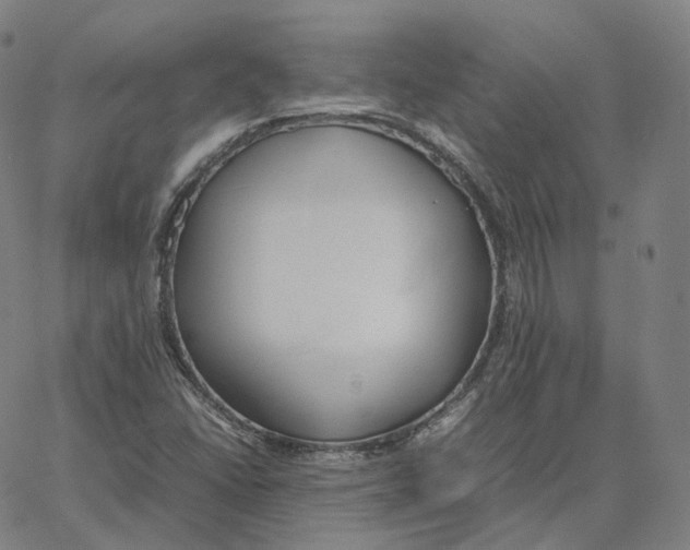 X0000062621406200601181643