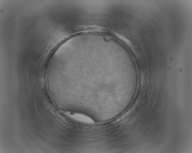 X0000062621407200601181643