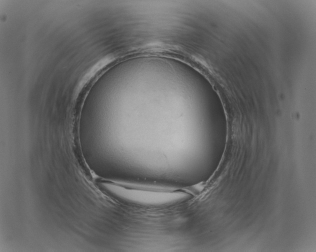 X0000062621410200601181643